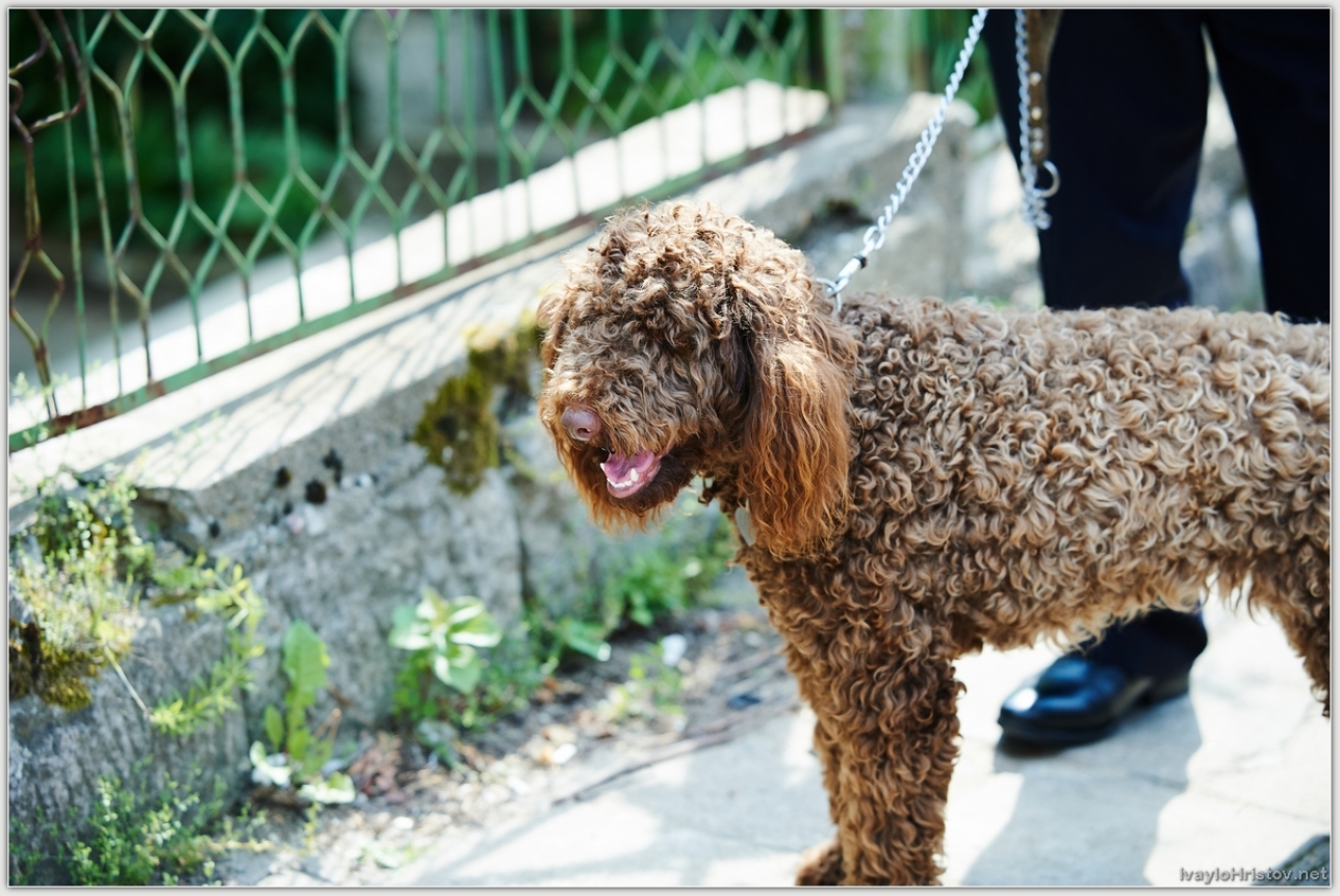 Белоградчик_0066