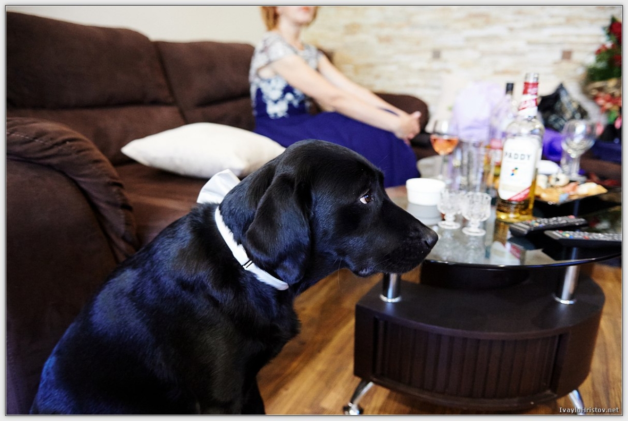 сватбена_фотография_KD_0052