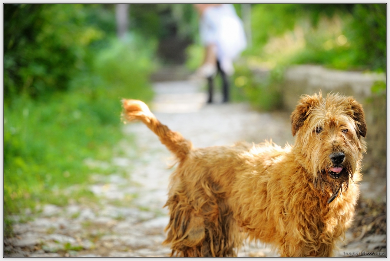 Biliana_Georgi_115_2014