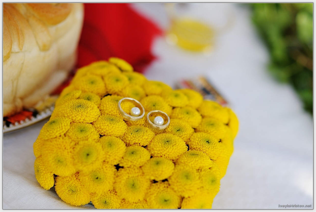 Klavdia_Viktorl_217_2014