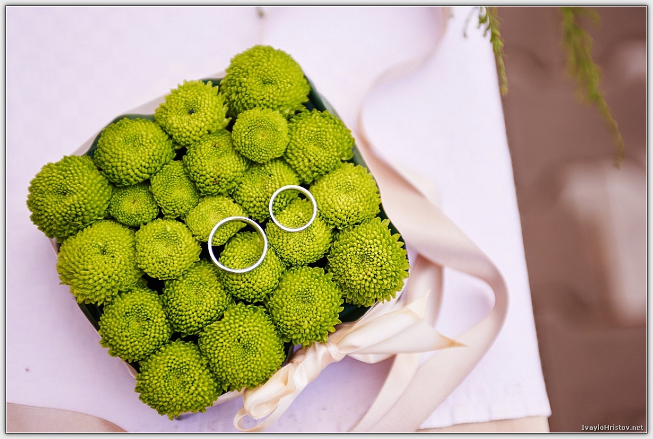 svatba_berkovitza_0114