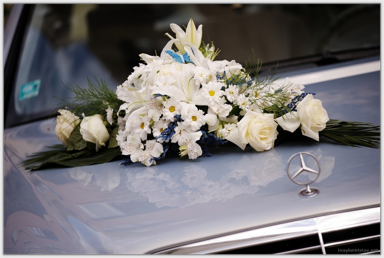 Ralica_Svetozar_039_2014