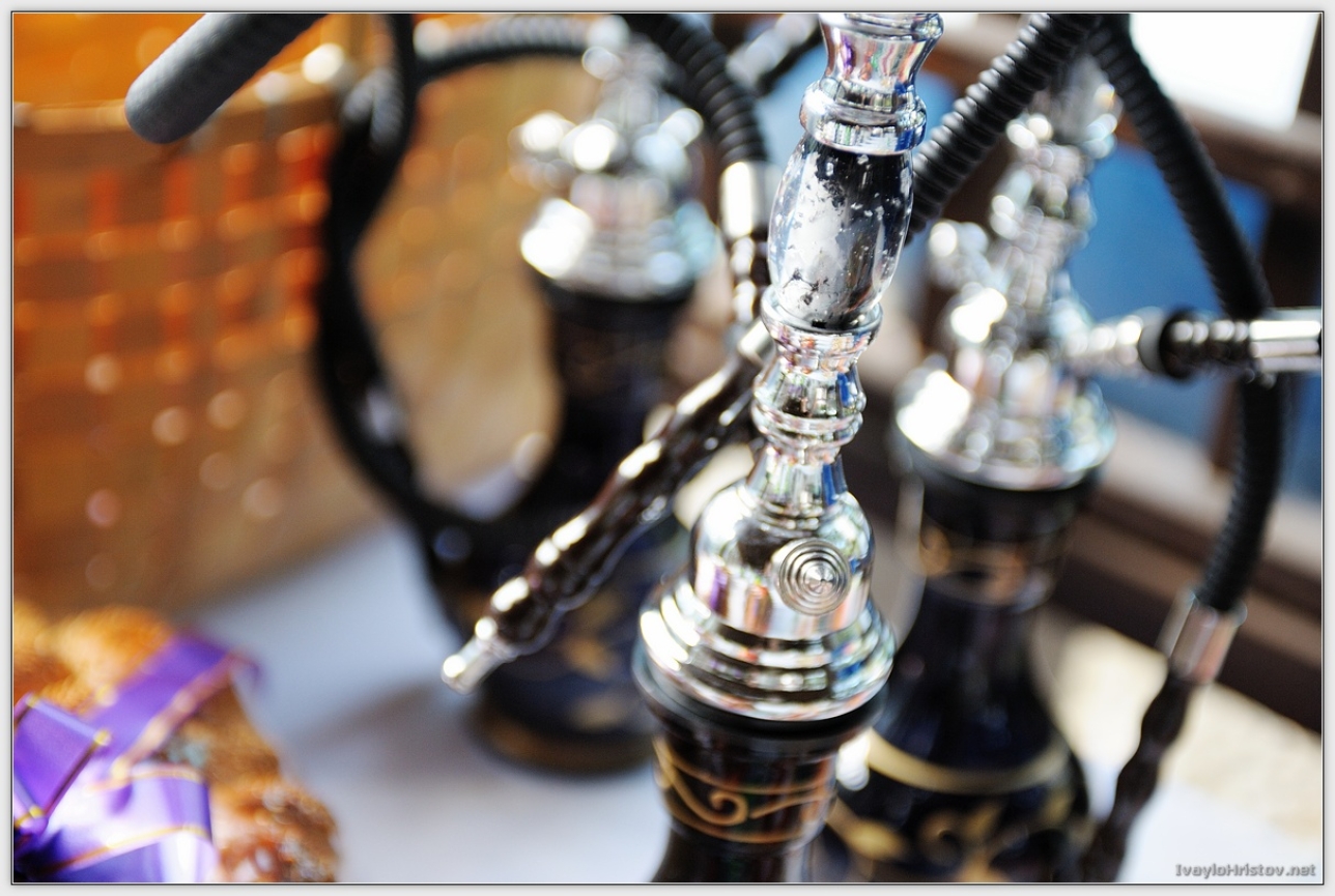 Maria_Stefan_003_2014