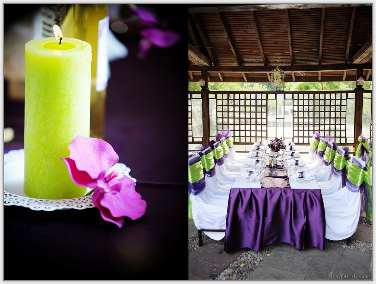 Maria_Stefan_015_2014