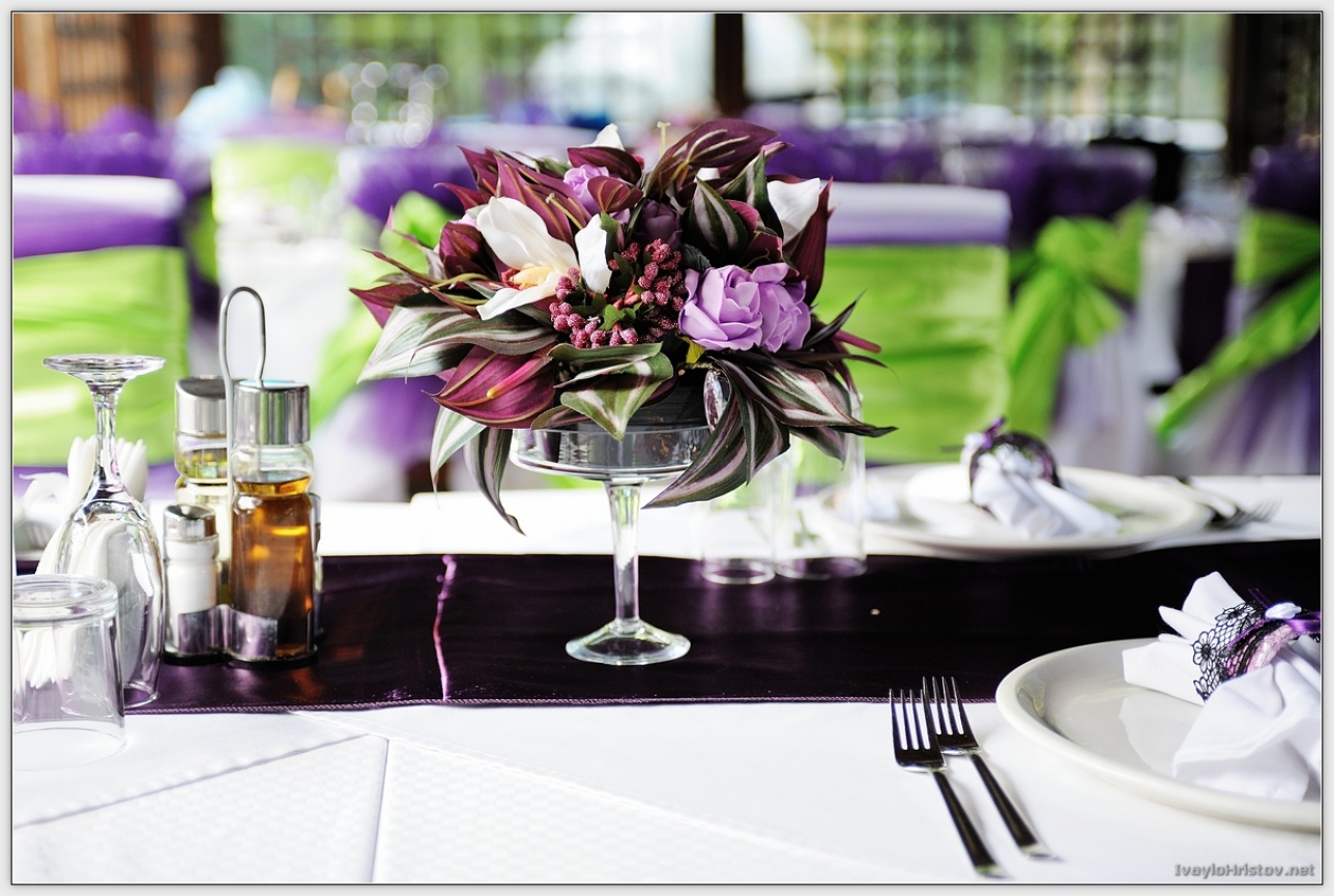 Maria_Stefan_021_2014