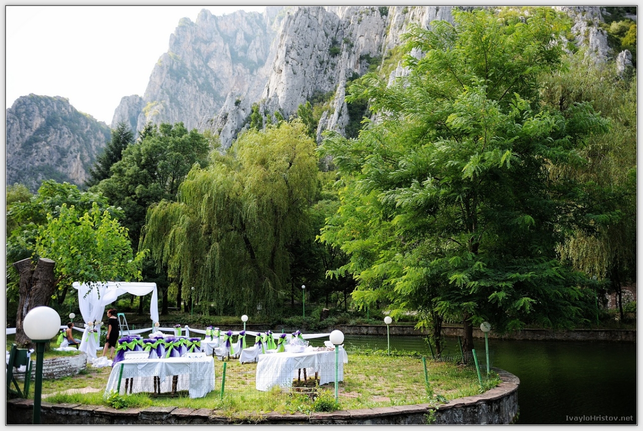 Maria_Stefan_024_2014