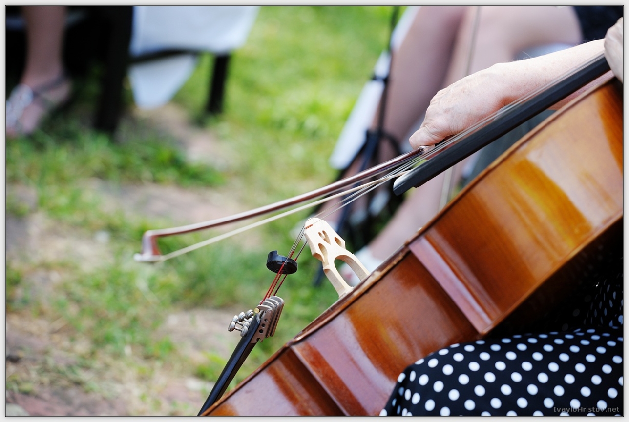 Maria_Stefan_042_2014