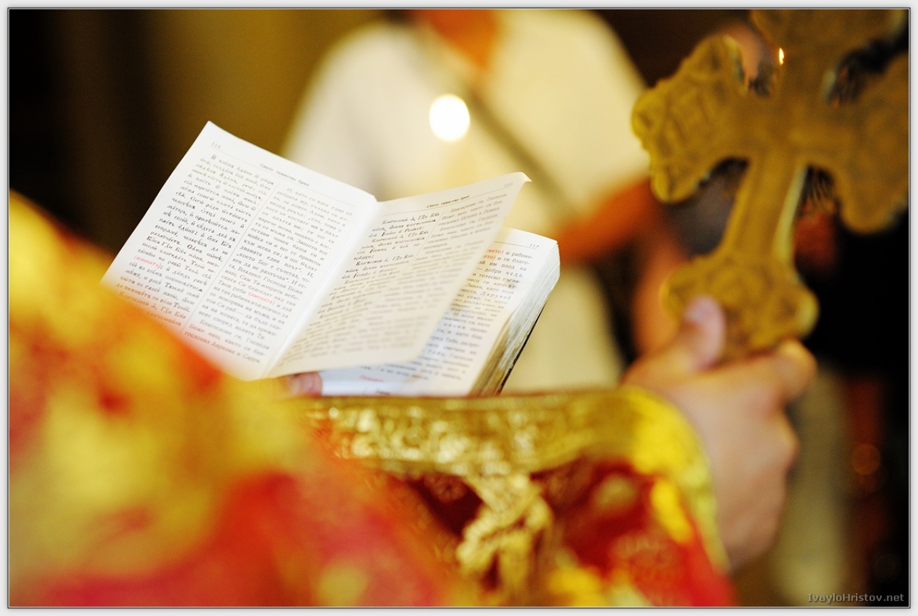 Maria_Stefan_103_2014