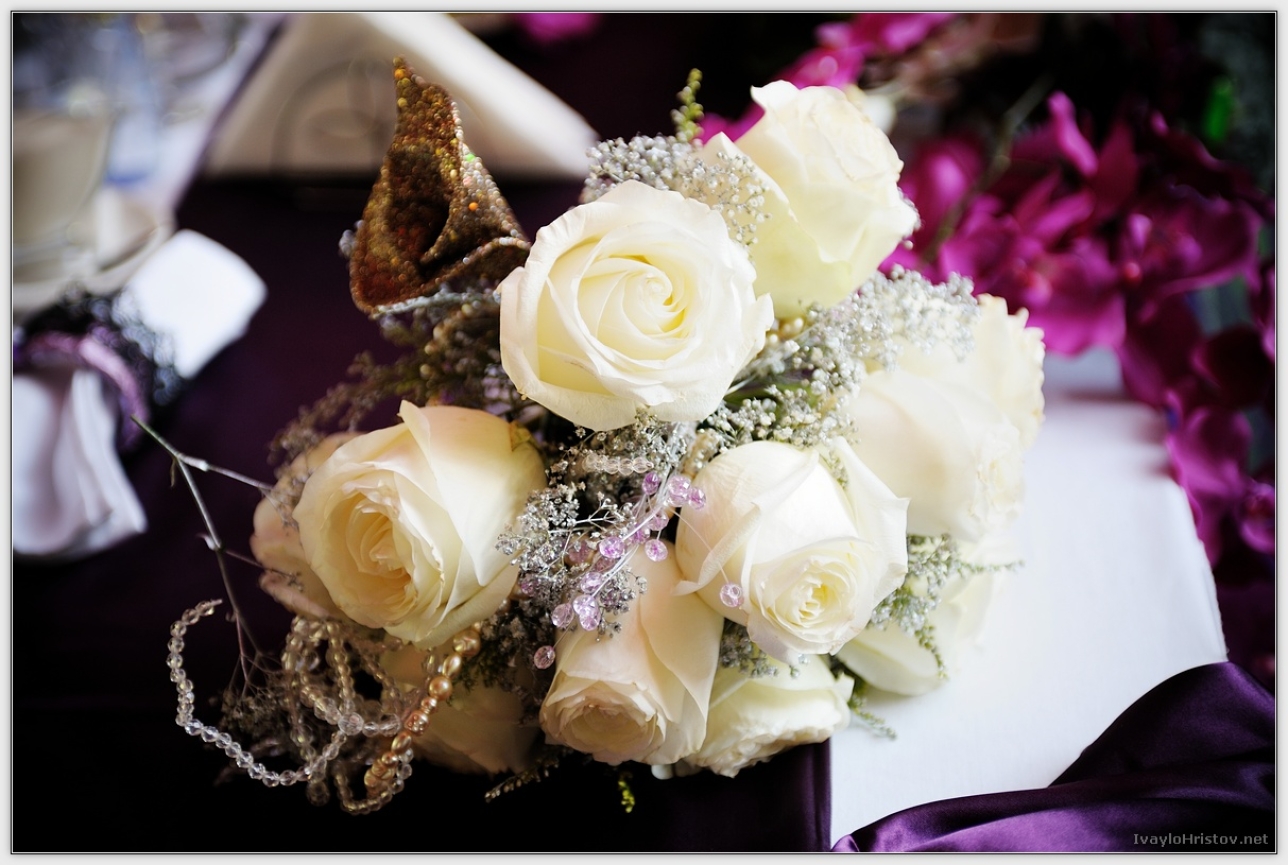 Maria_Stefan_132_2014