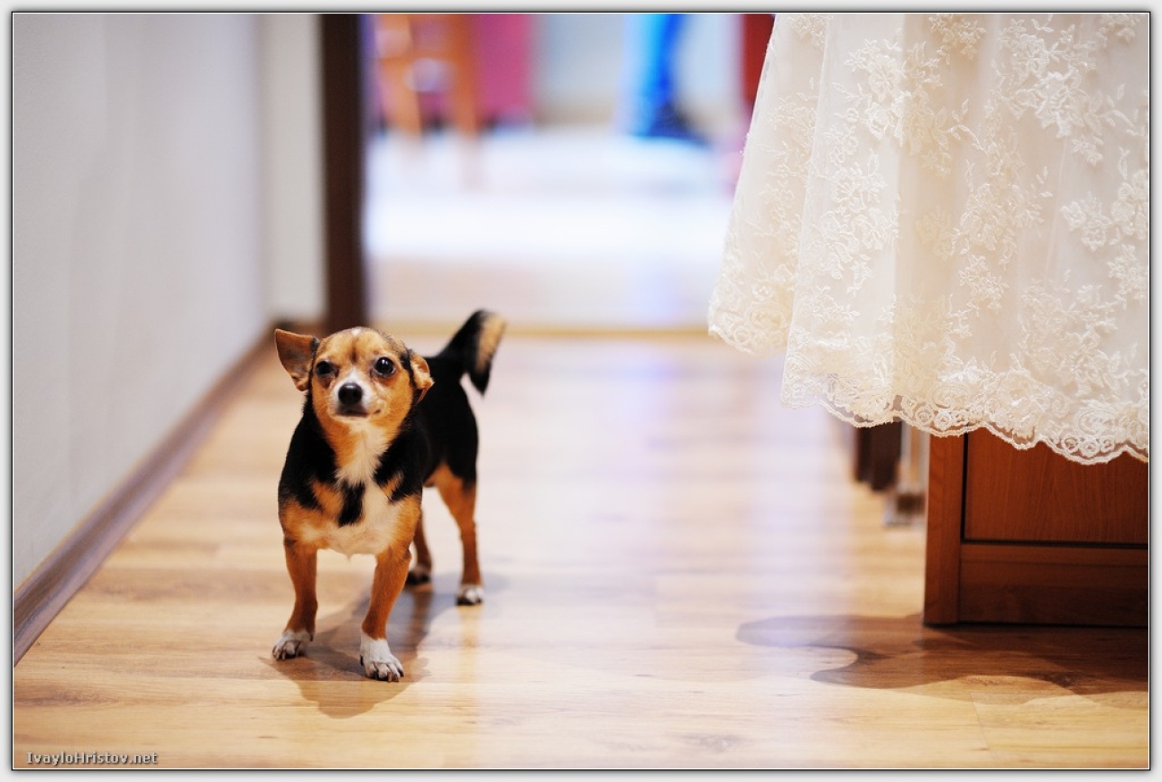 svatba svetla i martin_i002