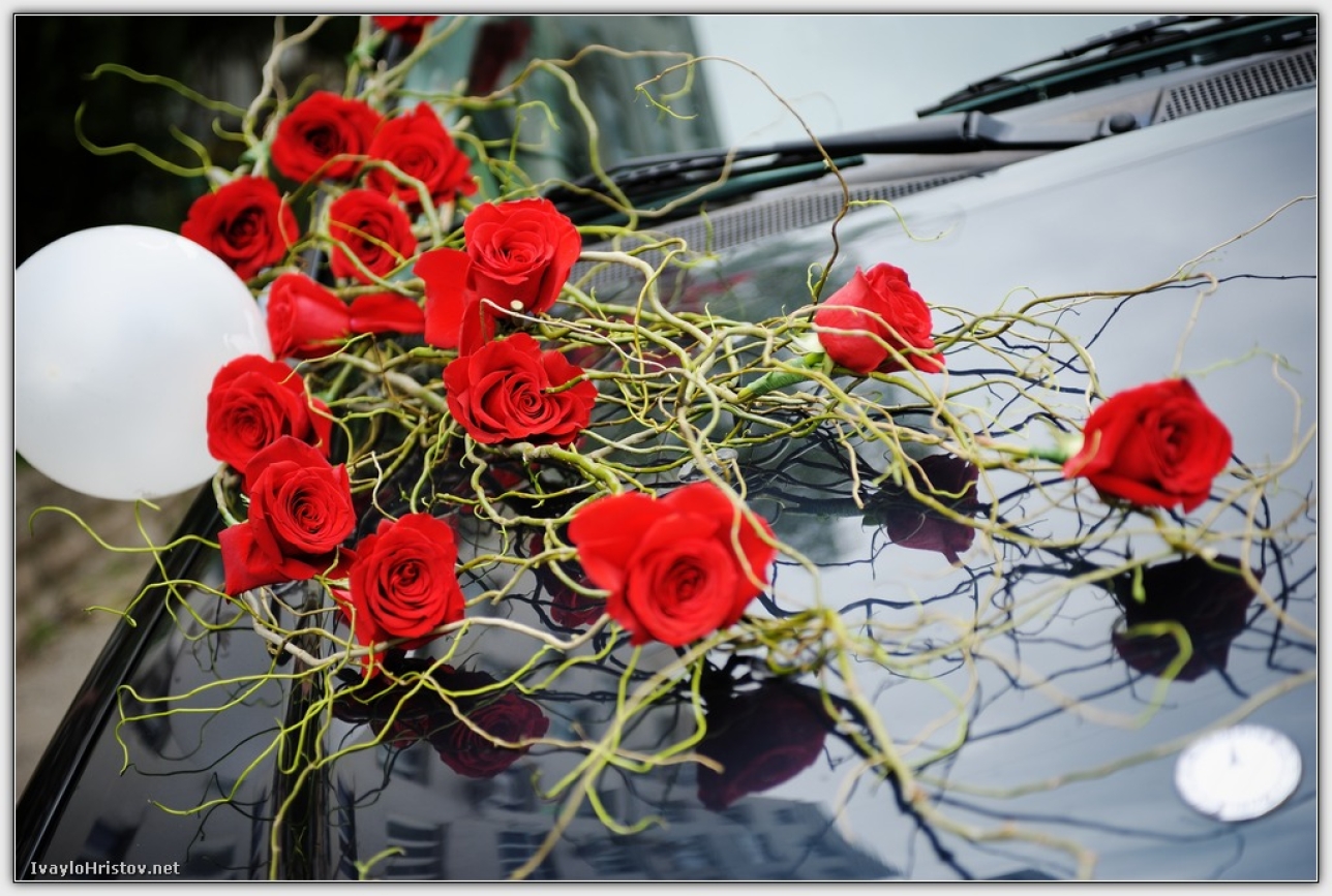 svatba svetla i martin_i058