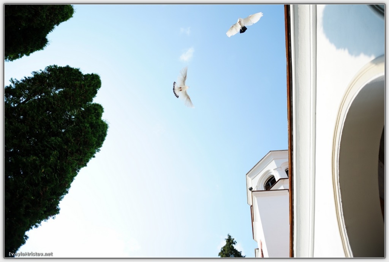 svatba_vania_krasi_0097