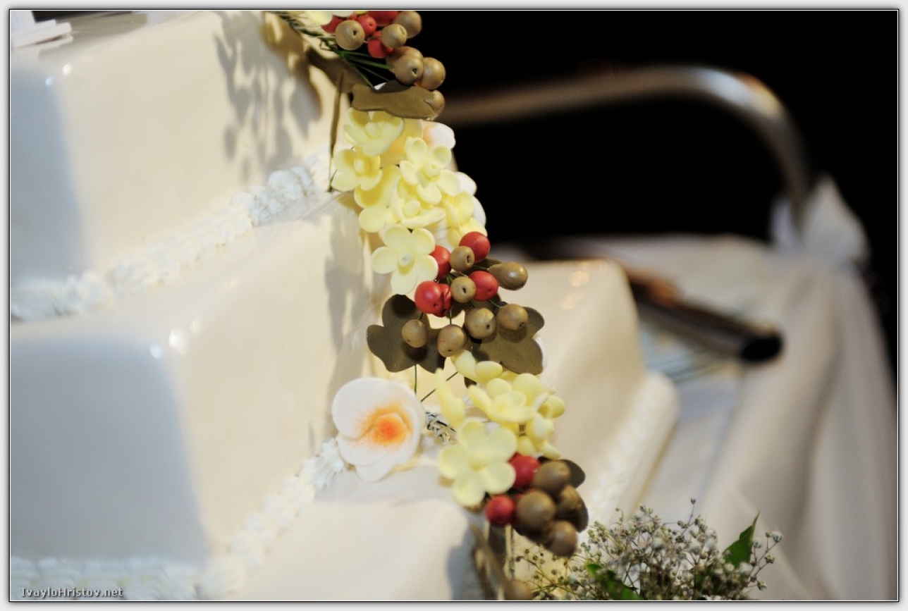 svatba_vania_krasi_0185