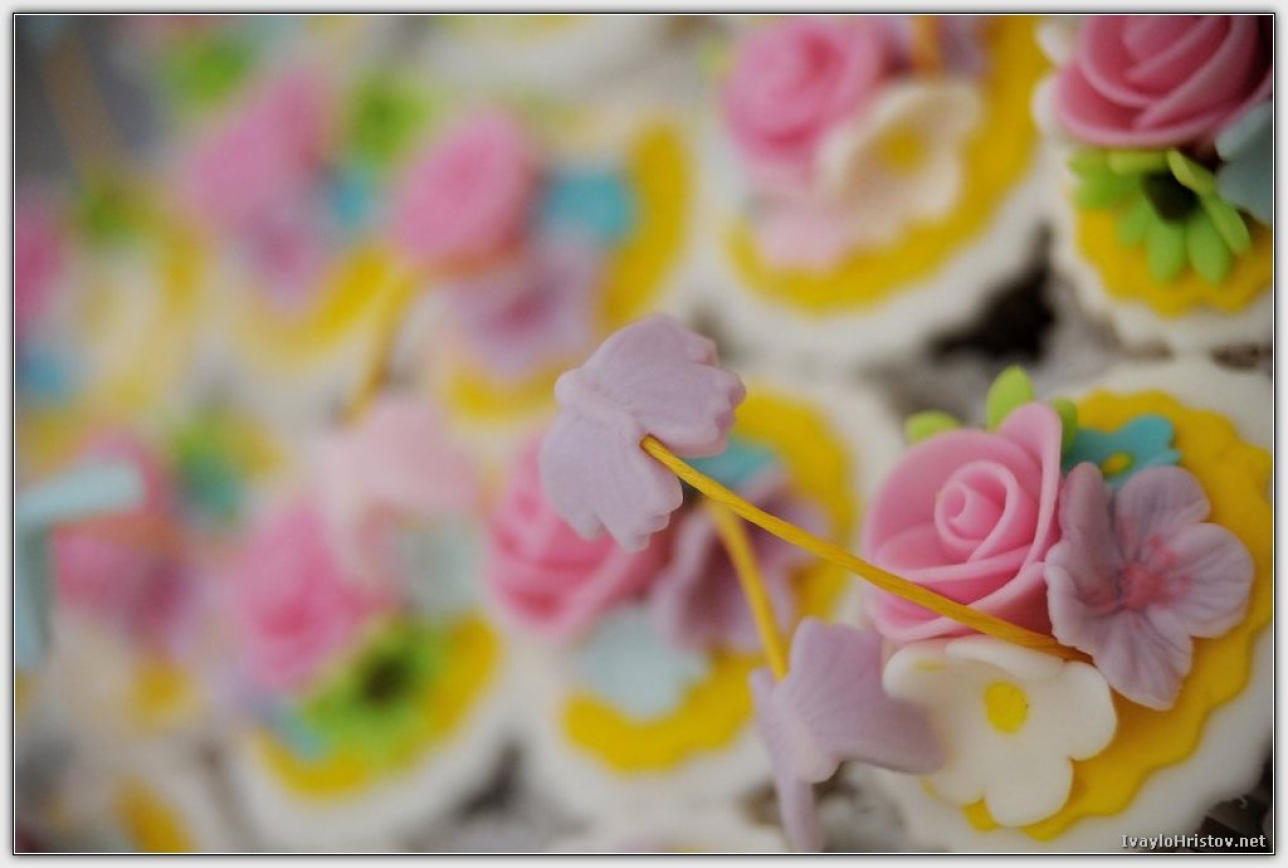 dani__i_alexander_00010