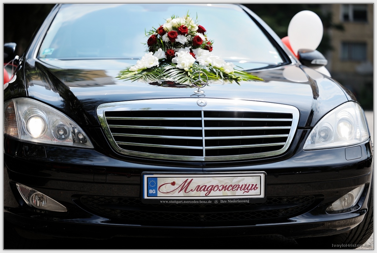 Cveti_Petur_014_2014