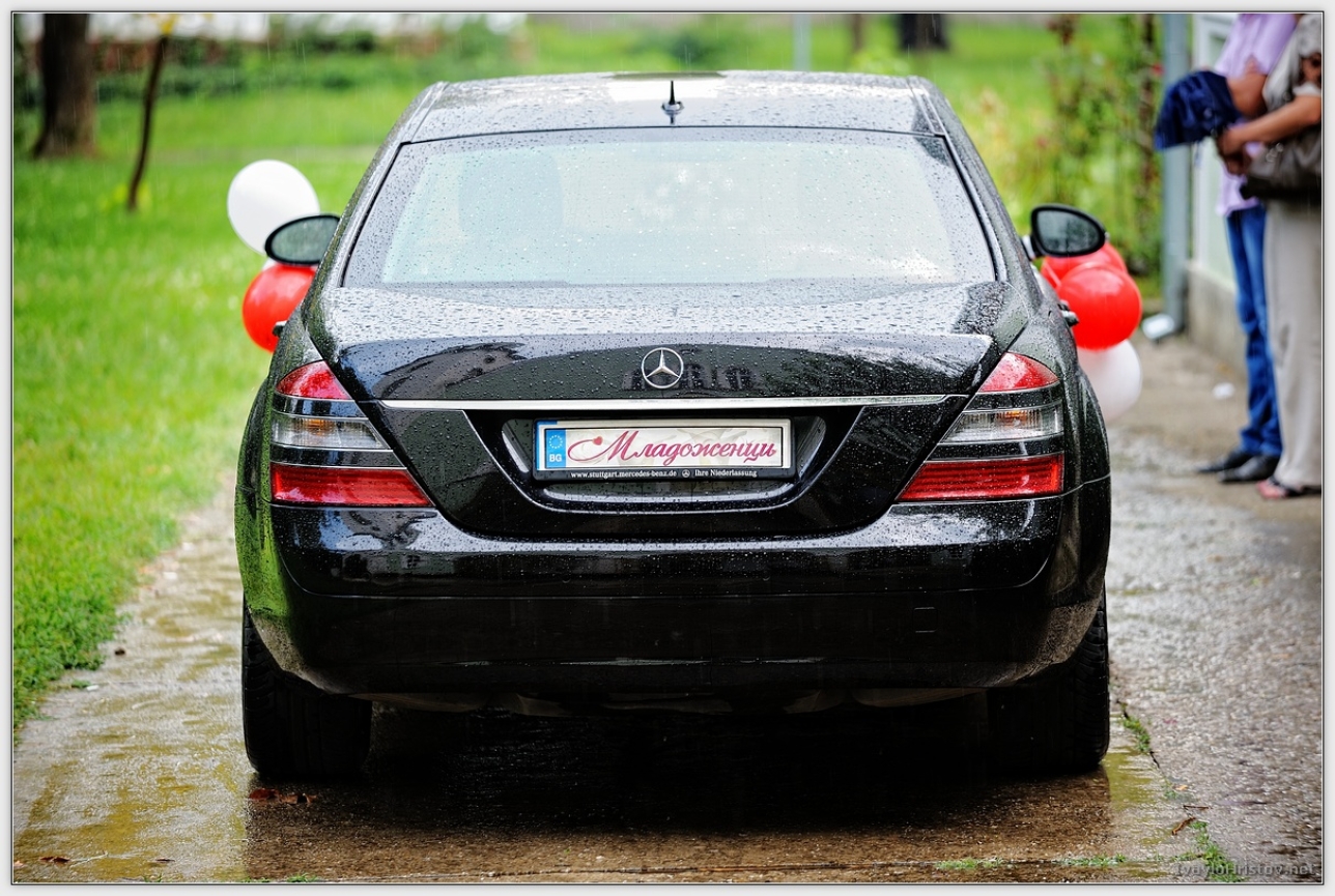 Cveti_Petur_106_2014