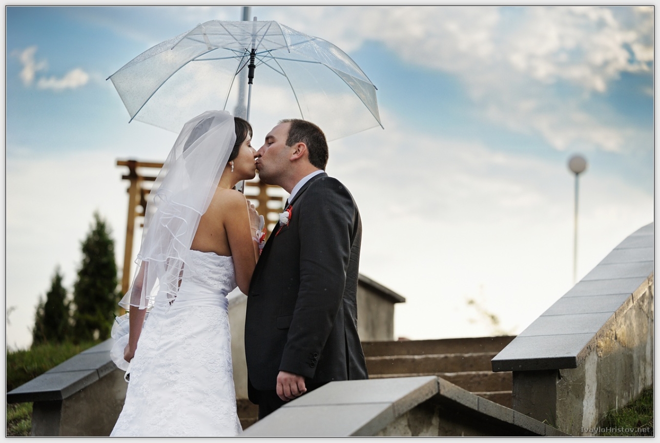 Cveti_Petur_107_2014