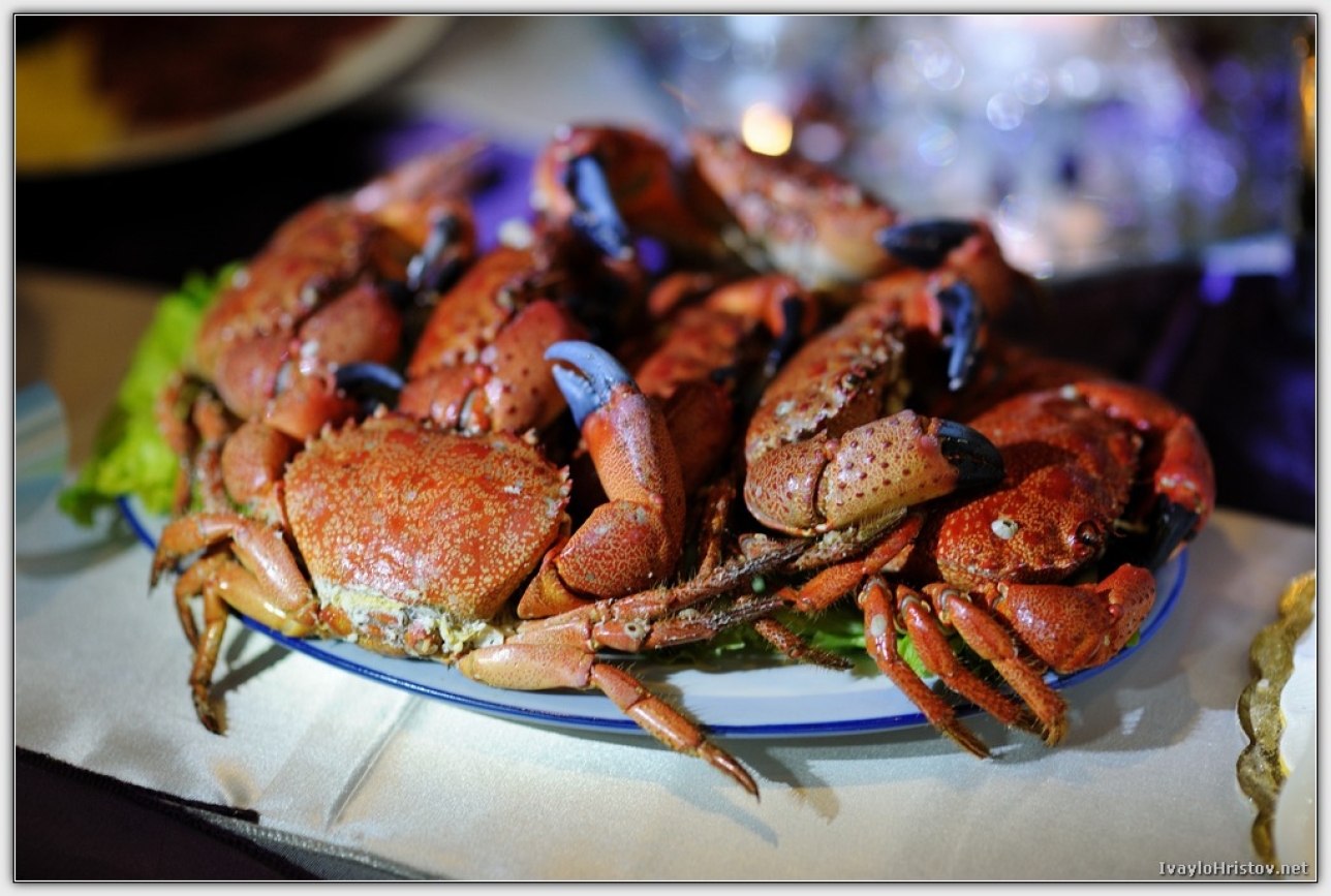 svatba reni i ceci_159